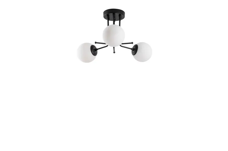 Kattovalaisin Bhika Musta, Musta