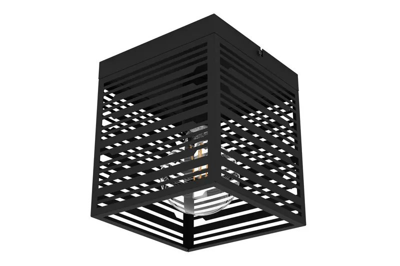 Kattovalaisin Eglo Piedritas, Musta