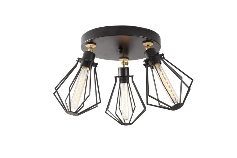 Kattovalaisin Hillmere Musta / Kulta, Kulta/Musta