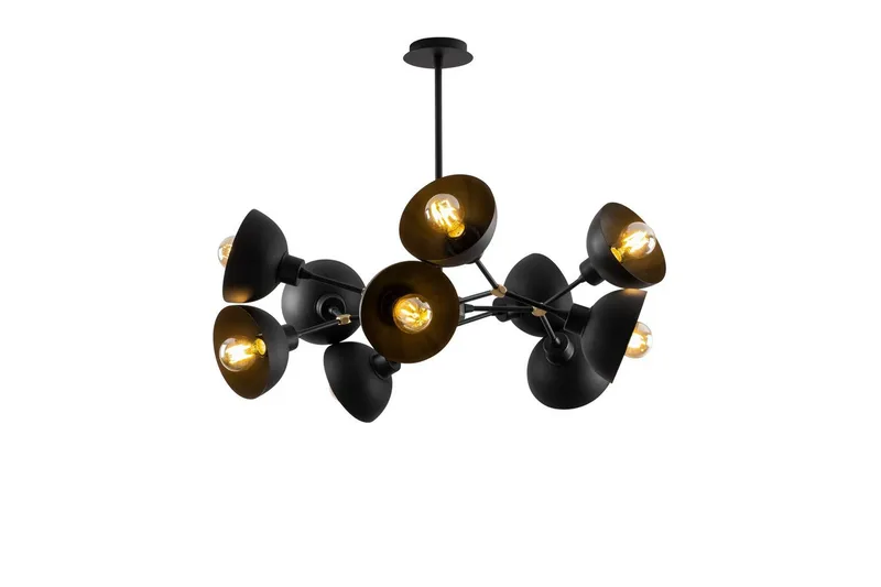 Kattovalaisin Ilmare Moonza Musta, Musta