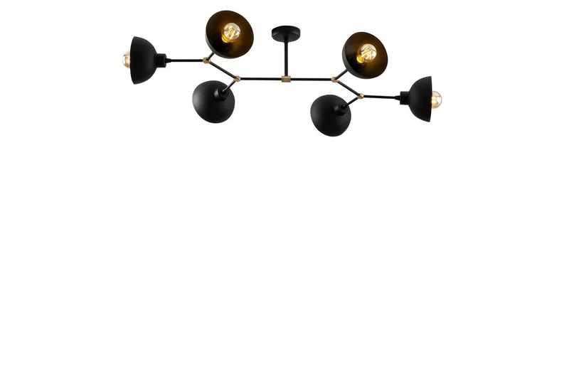 Kattovalaisin Ilmare Musta, Musta