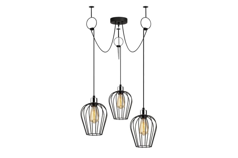 Kattovalaisin Majrulao Musta, Musta