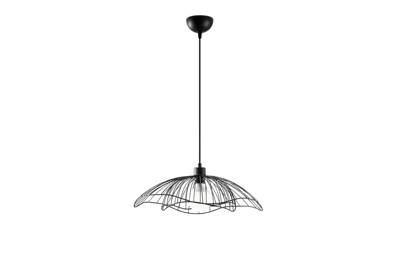 Kattovalaisin Sudaskey Musta, Musta