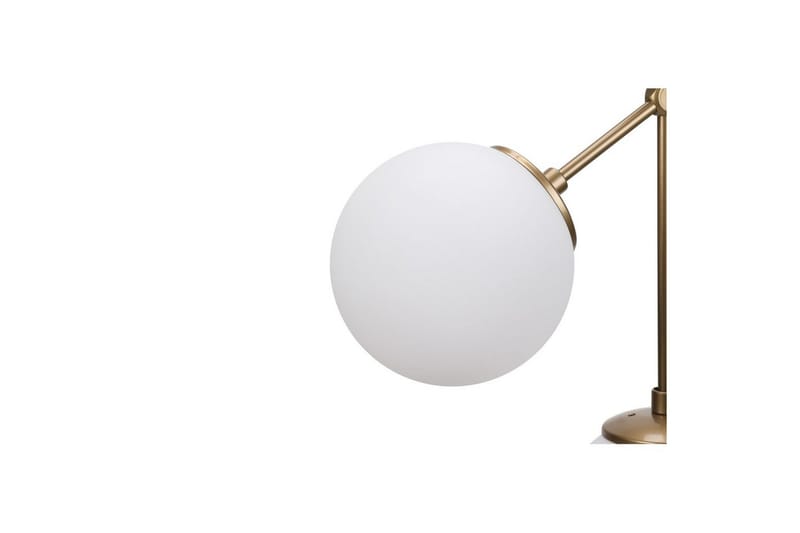 Kattovalaisin Sudatoor Nexis Läpinäkyvä - Läpinäkyvä - Valaistus - Sisävalaistus & lamput - Erikoisvalaisin - Riisipaperivalaisin