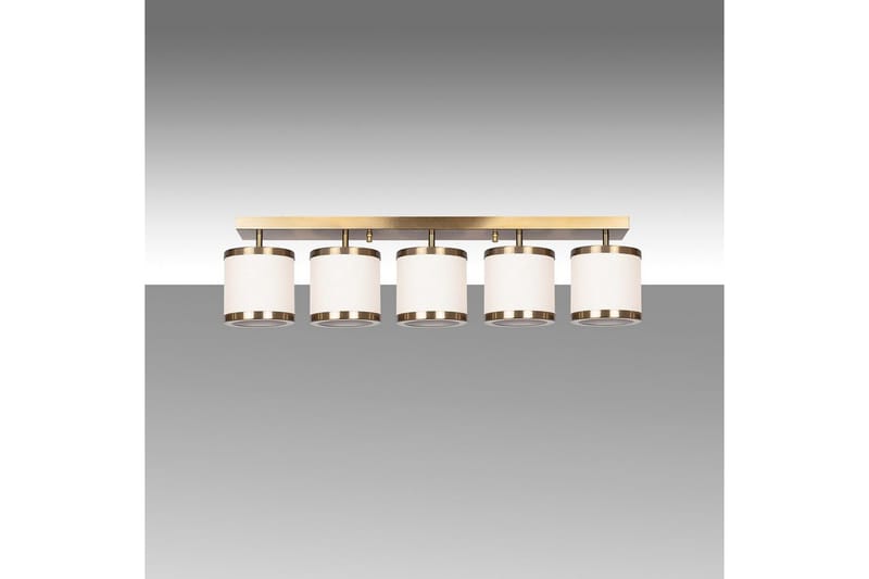 Kattovalaisin Talra Five Vintage, Kulta