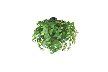 Kattovalaisin TRIO Leavy 70 cm - 70 cm - Valaistus - Sisävalaistus & lamput - Olohuoneen valaisin