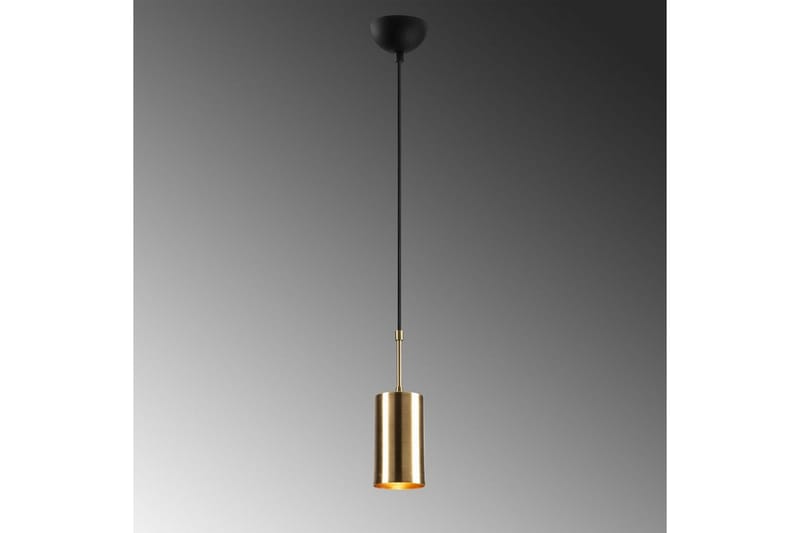 Kattovalaisin Tyrel Kulta / Musta Yksittäinen pistorasia - Yksittäinen pistorasia - Valaistus - Sisävalaistus & lamput - Erikoisvalaisin - Riisipaperivalaisin