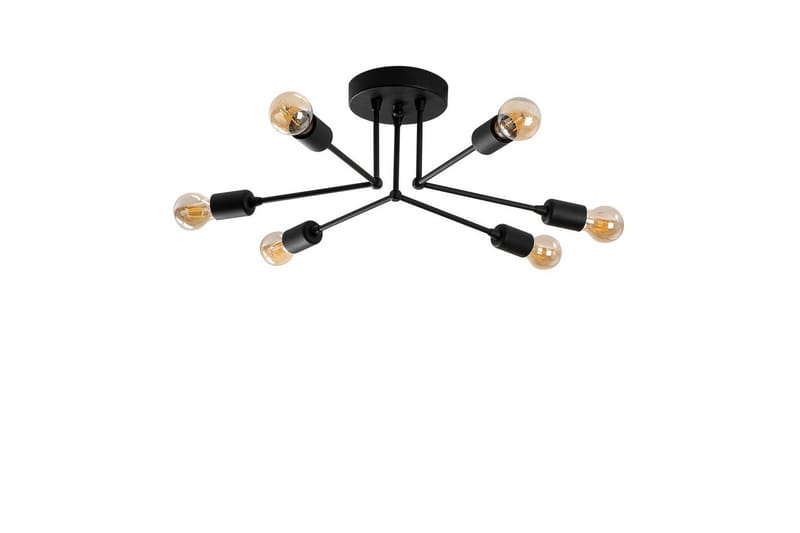 Kattovalaisin Vilsa Musta, Musta