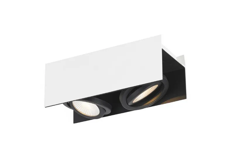 Kattovalaistus Eglo Vidago Valkoinen/Musta 2 Lamppua, 2 Lamppua