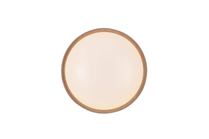 Kattovalo Q-Emilia - 50x12x50 cm - Valaistus - Sisävalaistus & lamput - Erikoisvalaisin - Tiffanylamppu