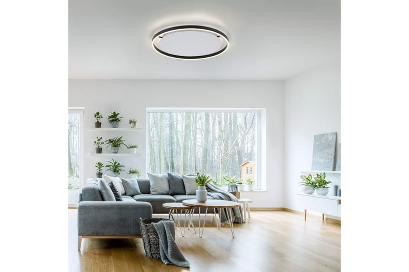 Kattovalo Ritus - 58,5x5,3x58,5 cm, Antrasiitti - Valaistus - Sisävalaistus & lamput - Erikoisvalaisin - Tiffanylamppu