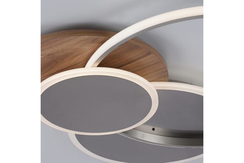 Kattovalo Palma - 62,5x7x65 cm - Valaistus - Sisävalaistus & lamput - Erikoisvalaisin - Tiffanylamppu