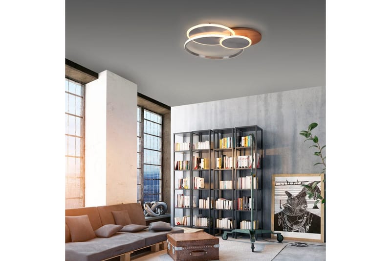 Kattovalo Palma - 62,5x7x65 cm - Valaistus - Sisävalaistus & lamput - Erikoisvalaisin - Tiffanylamppu