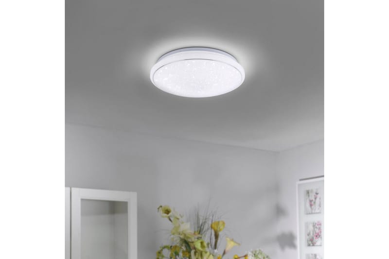 Lolasmart Jupi Just Light Kattovalaisin - Valaistus - Sisävalaistus & lamput - Erikoisvalaisin - Tiffanylamppu