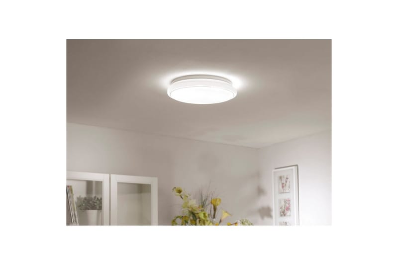 Lolasmart Jupi Just Light Kattovalaisin - Valaistus - Sisävalaistus & lamput - Erikoisvalaisin - Tiffanylamppu