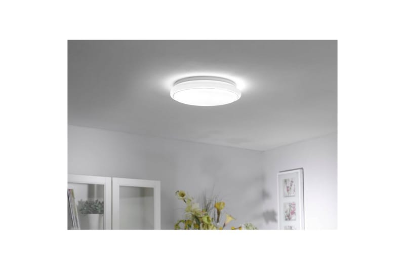 Lolasmart Jupi Just Light Kattovalaisin - Valaistus - Sisävalaistus & lamput - Erikoisvalaisin - Tiffanylamppu