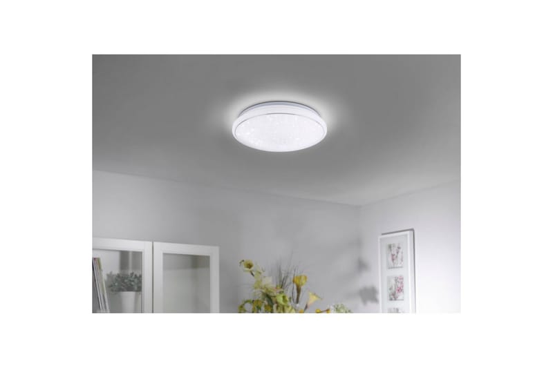 Lolasmart Jupi Just Light Kattovalaisin - Valaistus - Sisävalaistus & lamput - Erikoisvalaisin - Tiffanylamppu