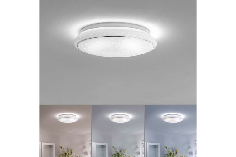 Lolasmart Jupi Just Light Kattovalaisin - Valaistus - Sisävalaistus & lamput - Erikoisvalaisin - Tiffanylamppu