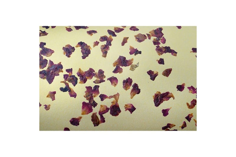 Pöytälamppu Eglo Castuera Kulta Ruusunlehdillä - Valaistus - Sisävalaistus & lamput - Erikoisvalaisin - Riisipaperivalaisin