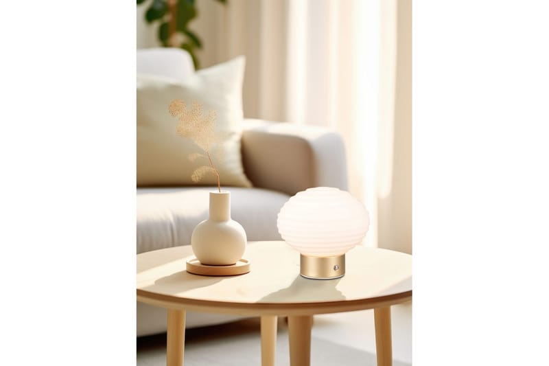 Pöytävalaisin TRIO Earl Mattamessinki/valkoinen - Mattamessinki/valkoinen - Valaistus - Sisävalaistus & lamput - Erikoisvalaisin - Riisipaperivalaisin