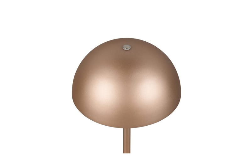 Pöytävalaisin TRIO Munoz Kahvinruskea - Kahvinruskea - Valaistus - Sisävalaistus & lamput - Erikoisvalaisin - Riisipaperivalaisin