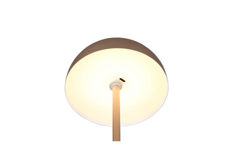 Pöytävalaisin TRIO Munoz Kahvinruskea - Kahvinruskea - Valaistus - Sisävalaistus & lamput - Erikoisvalaisin - Riisipaperivalaisin