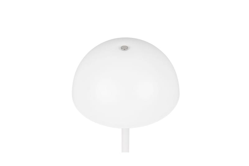 Pöytävalaisin TRIO Munoz Mattavalkoinen - Mattavalkoinen - Valaistus - Sisävalaistus & lamput - Erikoisvalaisin - Riisipaperivalaisin