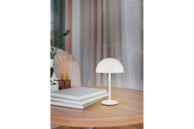 Pöytävalaisin TRIO Munoz Mattavalkoinen - Mattavalkoinen - Valaistus - Sisävalaistus & lamput - Erikoisvalaisin - Riisipaperivalaisin