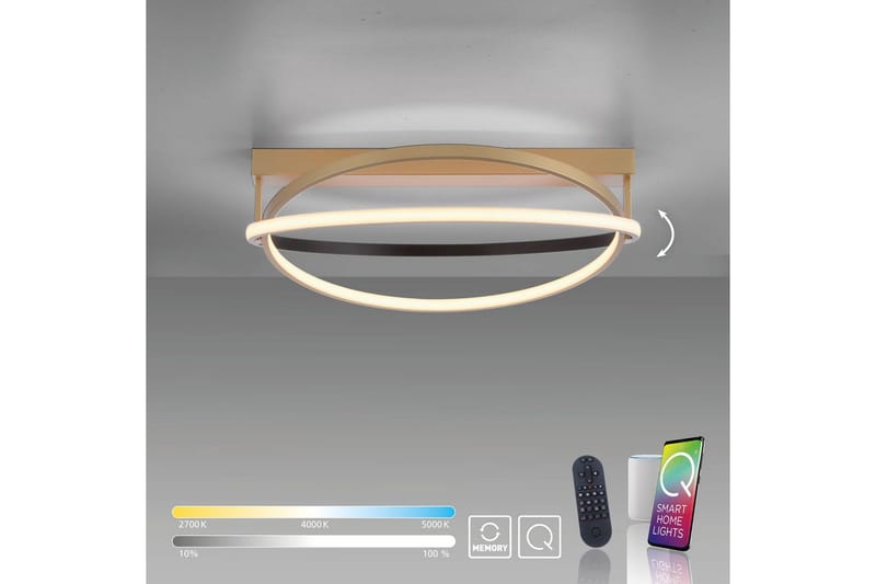 Q-Beluga Paul Neuhaus Kattovalaisin - Valaistus - Sisävalaistus & lamput - Erikoisvalaisin - Tiffanylamppu