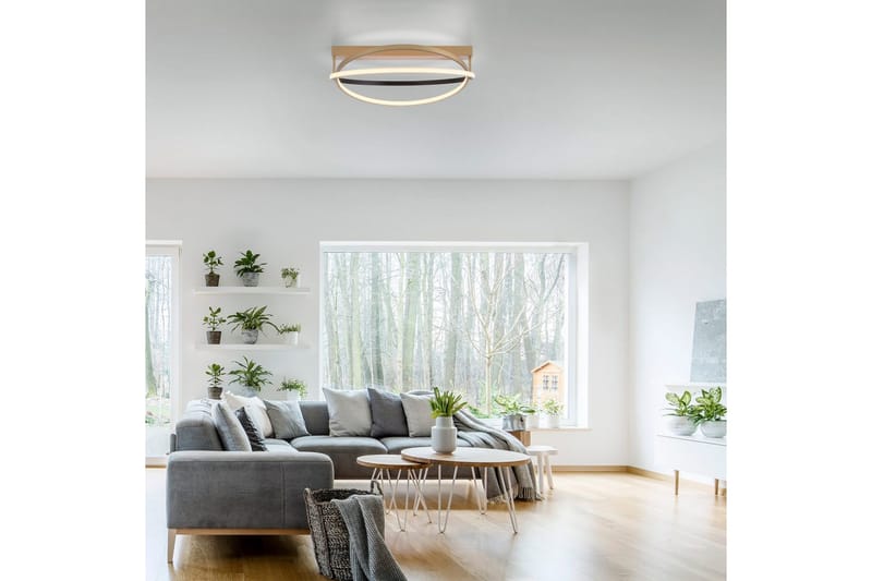 Q-Beluga Paul Neuhaus Kattovalaisin - Valaistus - Sisävalaistus & lamput - Erikoisvalaisin - Tiffanylamppu