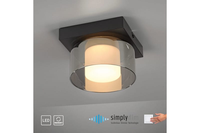 Rich Paul Neuhaus -Kattolamppu - Valaistus - Sisävalaistus & lamput - Erikoisvalaisin - Tiffanylamppu