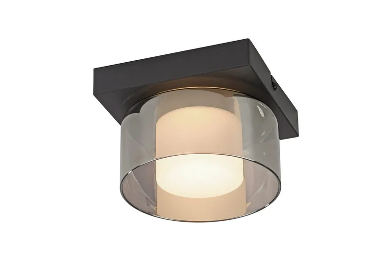 Rich Paul Neuhaus -Kattolamppu, undefined