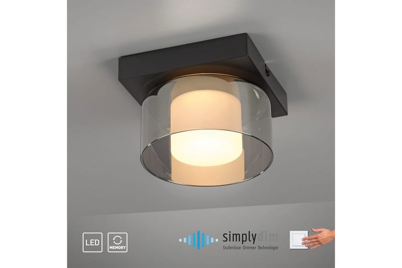 Rich Paul Neuhaus -Kattolamppu - Valaistus - Sisävalaistus & lamput - Erikoisvalaisin - Tiffanylamppu