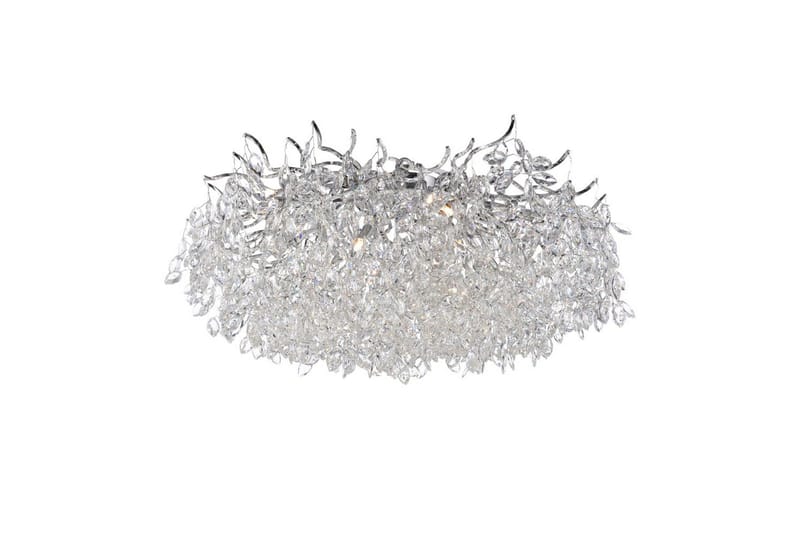 Ricicle Paul Neuhaus Kattovalaisin, undefined