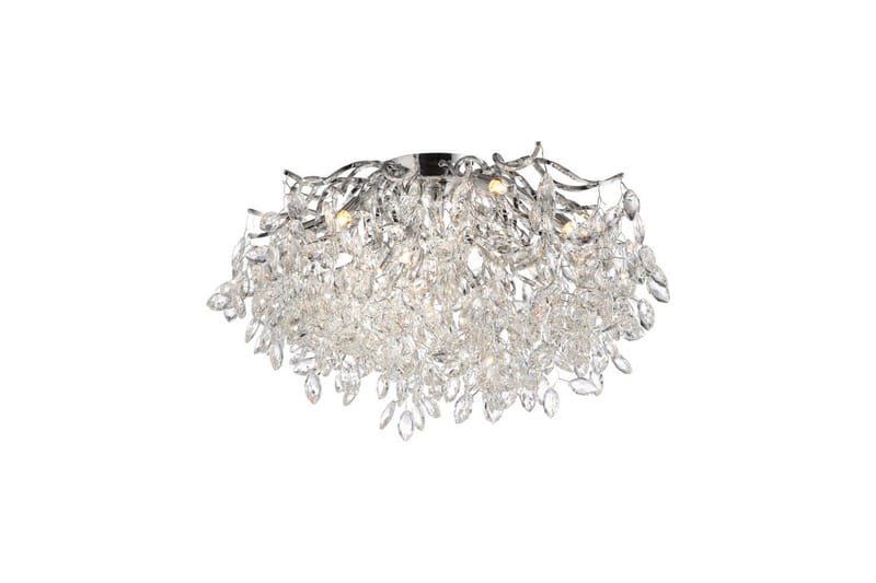 Ricicle Paul Neuhaus Kattovalaisin, undefined