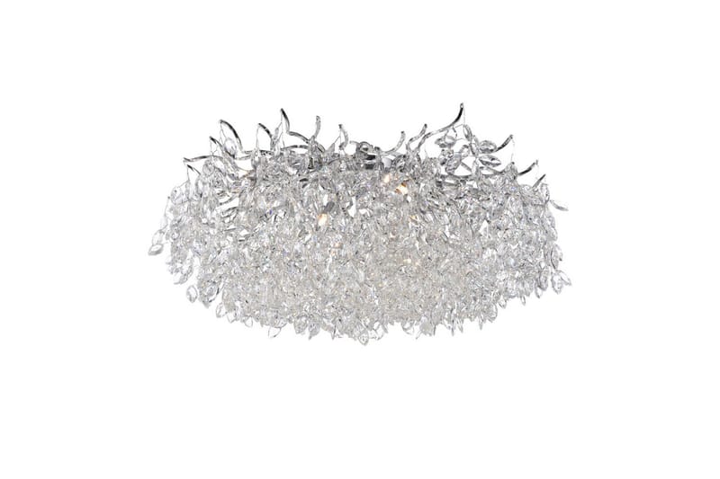 Ricicle Paul Neuhaus Kattovalaisin, undefined