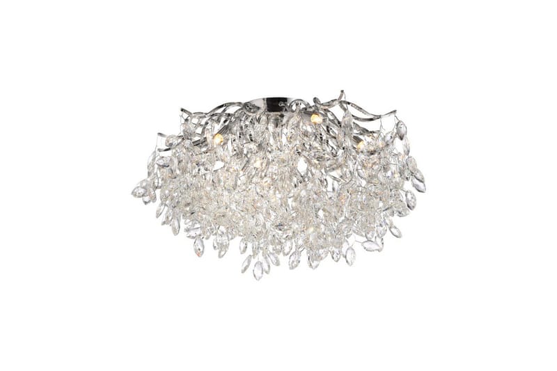 Ricicle Paul Neuhaus Kattovalaisin, undefined