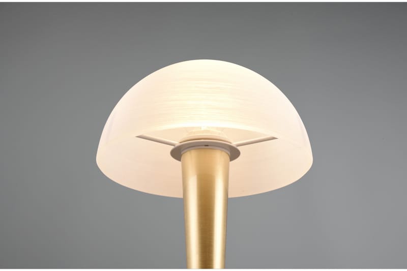 Pöytävalaisin Canaria E14 Mattamessinki - TRIO - Valaistus - Sisävalaistus & lamput - Erikoisvalaisin - Riisipaperivalaisin