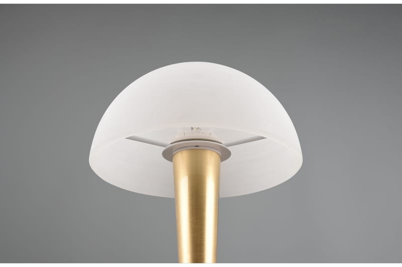 Pöytävalaisin Canaria E14 Mattamessinki - TRIO - Valaistus - Sisävalaistus & lamput - Erikoisvalaisin - Riisipaperivalaisin