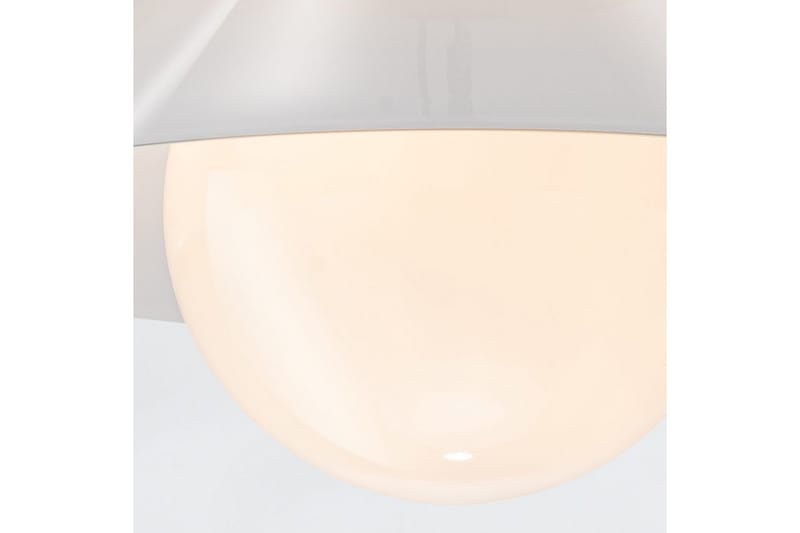 Saucer Quintiesse Kattovalaisin - Valaistus - Sisävalaistus & lamput - Erikoisvalaisin - Tiffanylamppu