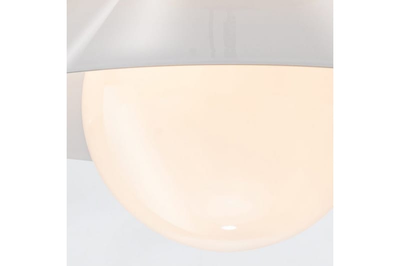 Saucer Quintiesse Kattovalaisin - Valaistus - Sisävalaistus & lamput - Erikoisvalaisin - Tiffanylamppu