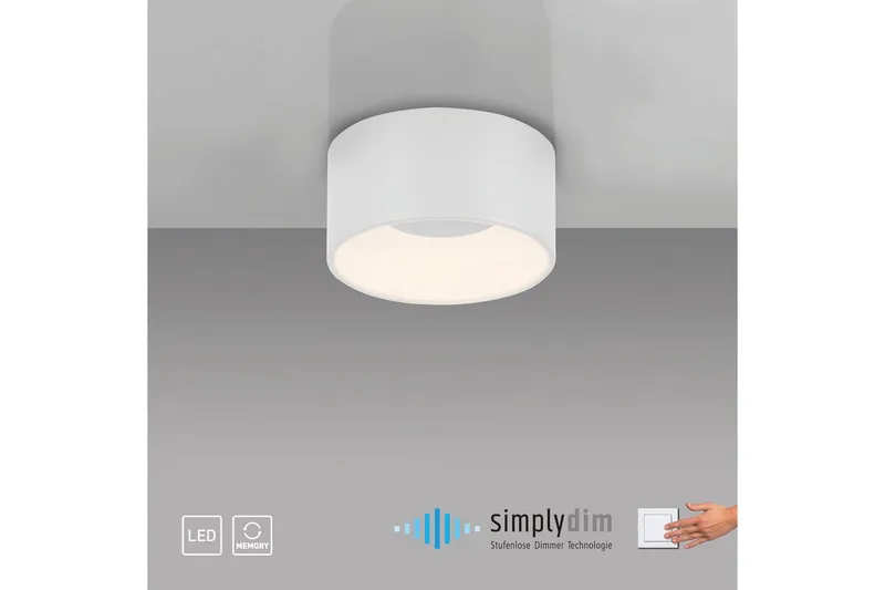 Tanika Just Light Kattovalaisin - Valaistus - Sisävalaistus & lamput - Erikoisvalaisin - Tiffanylamppu