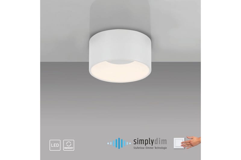 Tanika Just Light Kattovalaisin - Valaistus - Sisävalaistus & lamput - Erikoisvalaisin - Tiffanylamppu