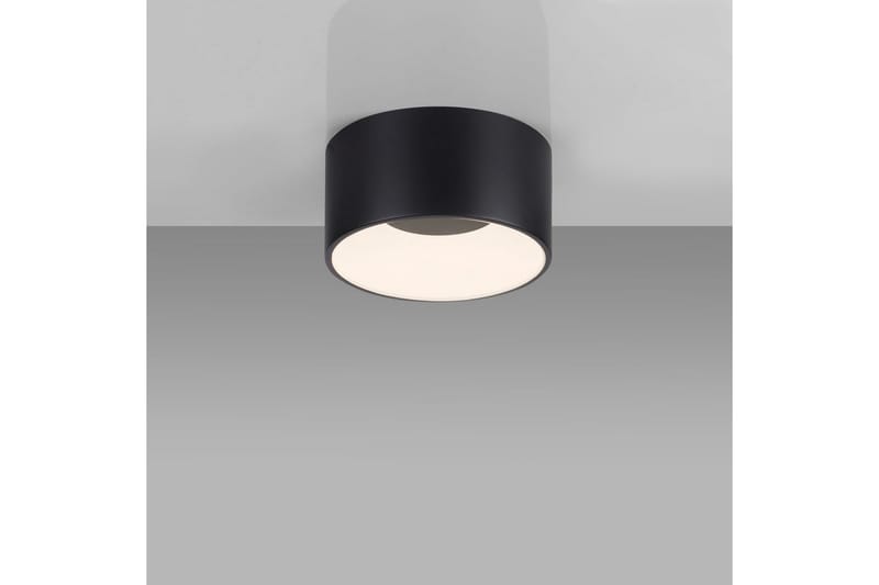 Tanika Just Light Kattovalaisin - Valaistus - Sisävalaistus & lamput - Erikoisvalaisin - Tiffanylamppu