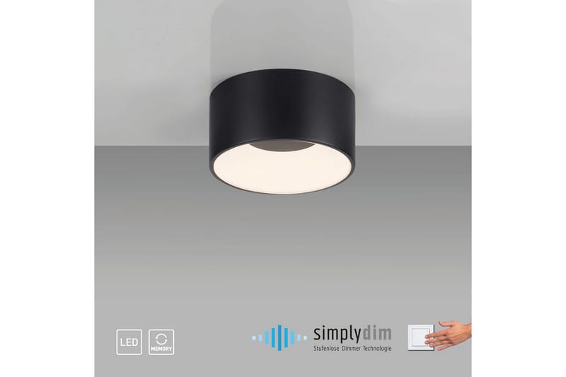 Tanika Just Light Kattovalaisin - Valaistus - Sisävalaistus & lamput - Erikoisvalaisin - Tiffanylamppu