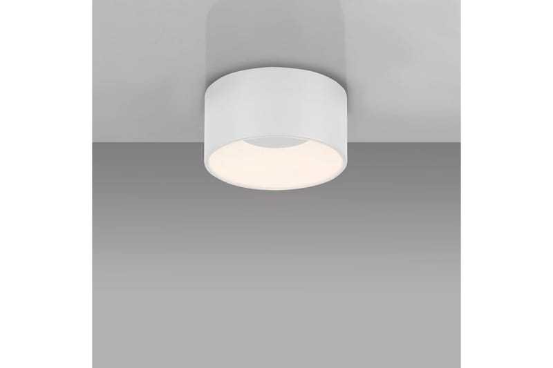 Tanika Just Light Kattovalaisin - Valaistus - Sisävalaistus & lamput - Erikoisvalaisin - Tiffanylamppu