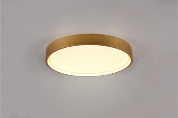 LED-Kattovalaisin Doha 45cm Mattamessinki - TRIO - Valaistus - Sisävalaistus & lamput - Olohuoneen valaisin