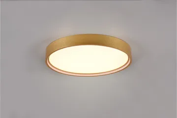 LED-Kattovalaisin Doha 45cm Mattamessinki - TRIO - Valaistus - Sisävalaistus & lamput - Olohuoneen valaisin
