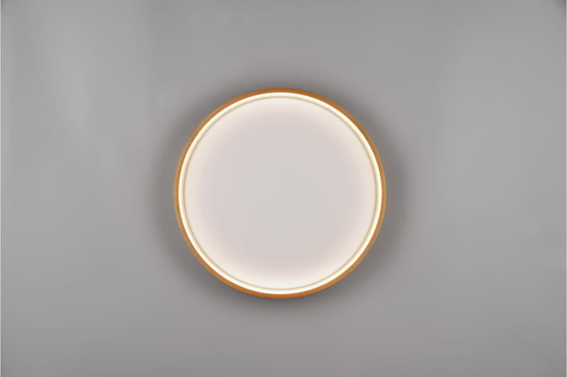 LED-Kattovalaisin Doha 45cm Mattamessinki - TRIO - Valaistus - Sisävalaistus & lamput - Erikoisvalaisin - Tiffanylamppu