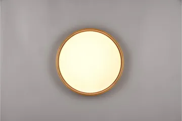LED-Kattovalaisin Doha 45cm Mattamessinki - TRIO - Valaistus - Sisävalaistus & lamput - Olohuoneen valaisin